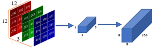 Separable point wise convolution for to produce 256.