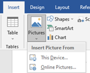 picture inserting option