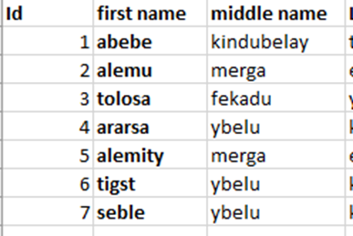 formatting font in Microsoft excel. make the font bold