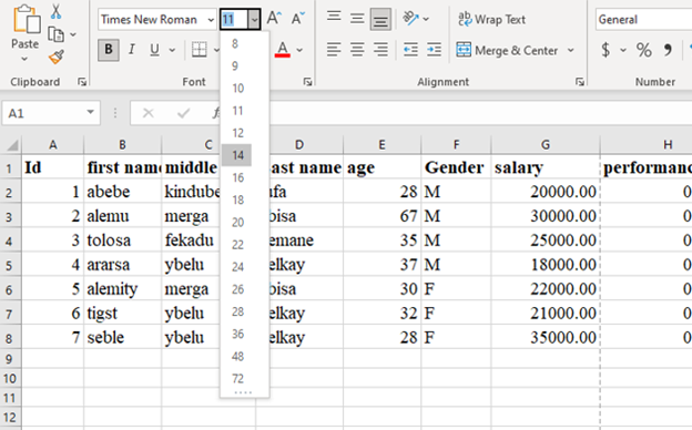 font size option in Microsoft excel doxument