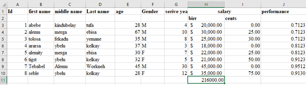 Salary example of Microsoft excel.