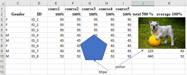 Shapes and pictures in MS excel sheet.