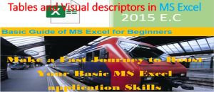 Tables and Visual descriptors in Microsoft excel