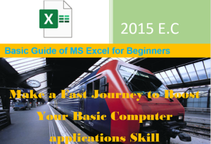 Basic Guide of MS Excel